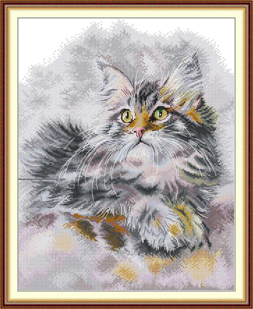 The fluffy oil-painted cat