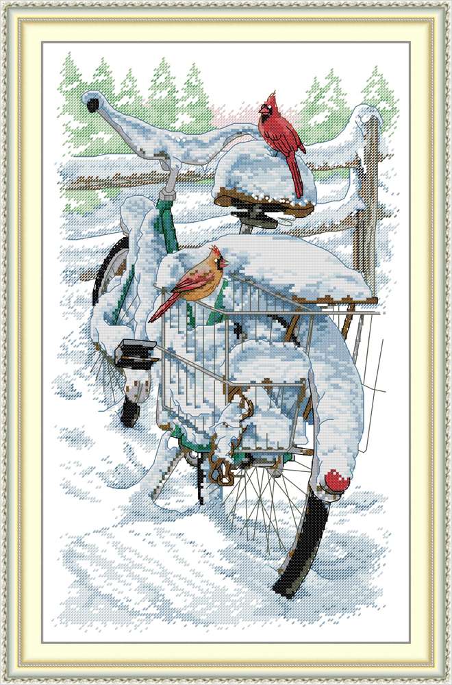 The Red-bellied Bird on the Bicycle