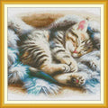 Sleeping Cat